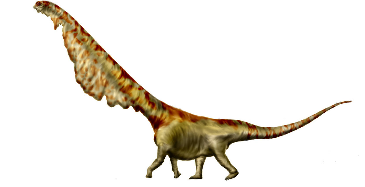 mamenchisaurus_sinocanadorum_by_durbed-d6bzkmx