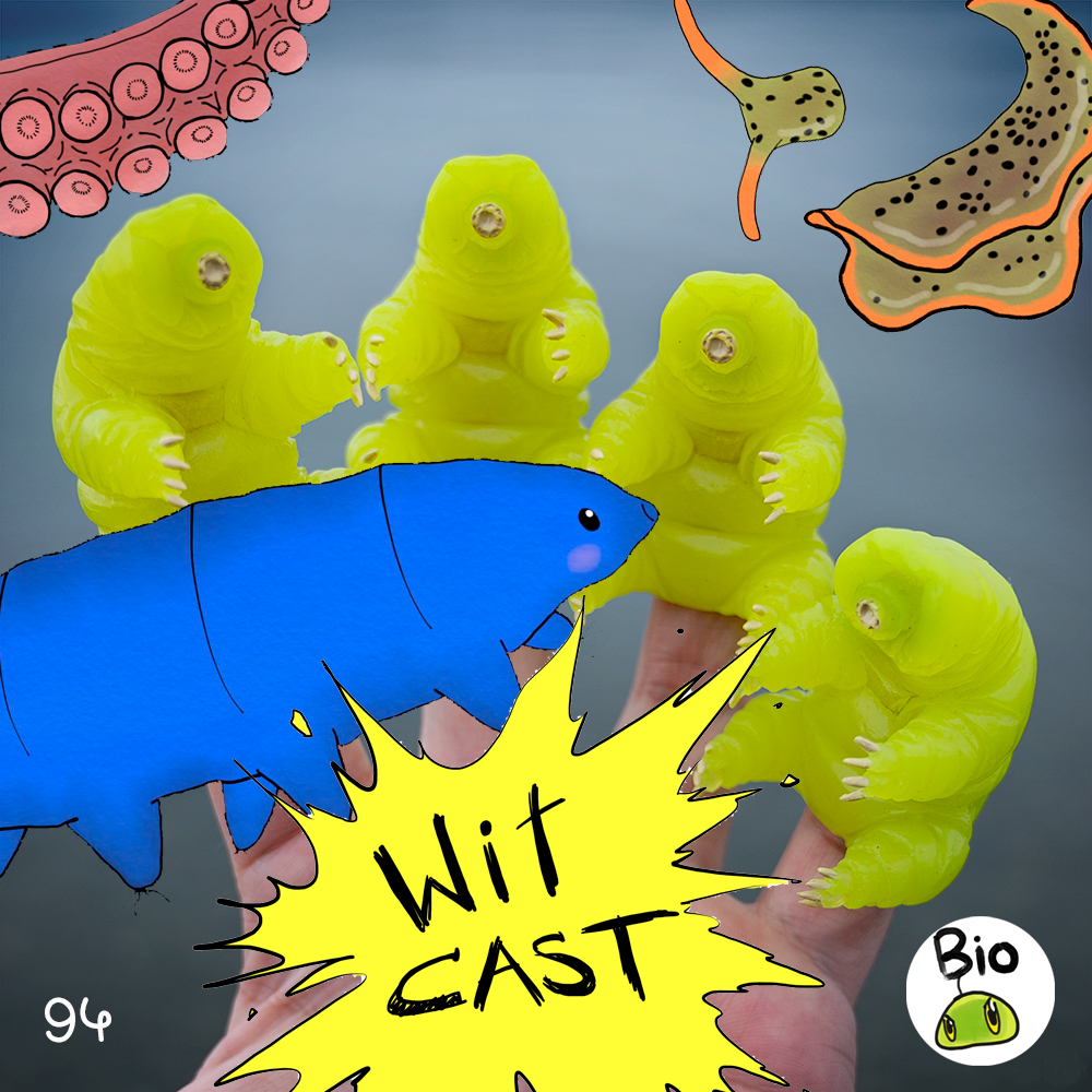 WiTcast 94.1 – หมีน้ำ/ทากกระสือ/ความฝันของปลาหมึก/กล้วยไม้ลามก Ft. ภัทร นี่แหละชีว
