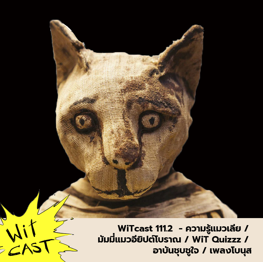 WiTcast 111.2 – ความรู้แมวเลีย / มัมมี่แมวอียิปต์โบราณ / WiT Quizzz / อาบันชุบชูใจ / เพลงโบ�